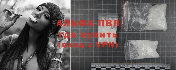 крисы Козловка