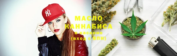 крисы Козловка