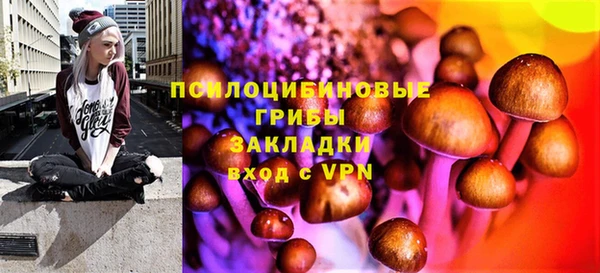 прущая мука Кодинск