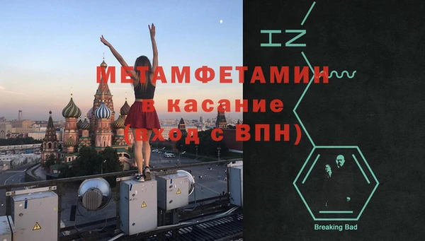 крисы Козловка