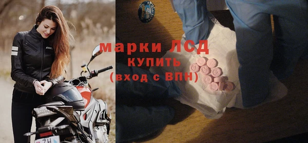 крисы Козловка